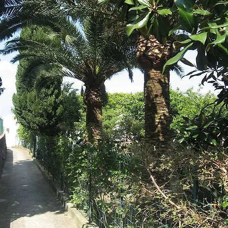 Soleluna