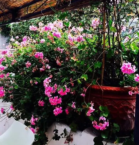 住宿加早餐酒店 索尔鲁纳酒店