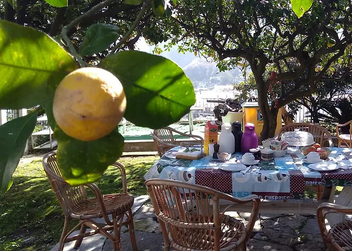 索尔鲁纳酒店 住宿加早餐酒店 4*